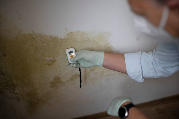 Best Crawl Space Mold Removal  in Von Ormy, TX