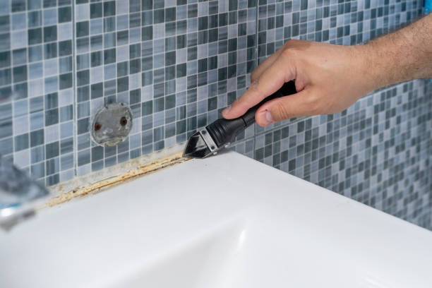 Mold Removal Process in Von Ormy, TX