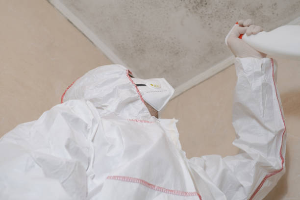 Best Crawl Space Mold Removal  in Von Ormy, TX